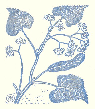 photo22.jpg