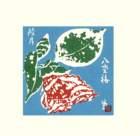 photo12_small.jpg