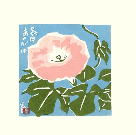 photo19.jpg