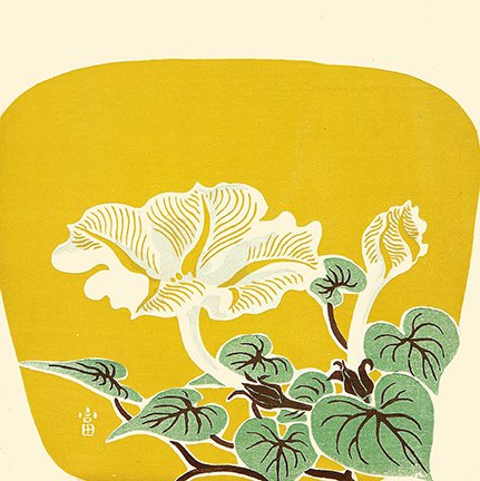 photo23.jpg