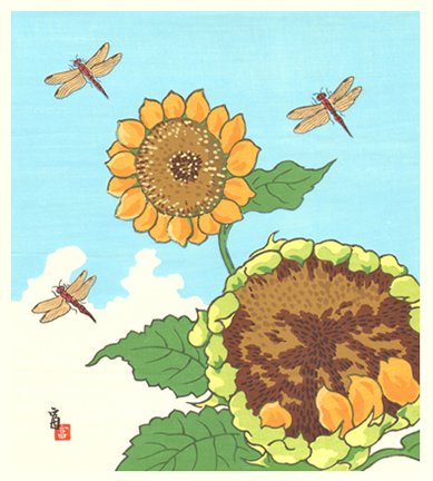 photo41.jpg