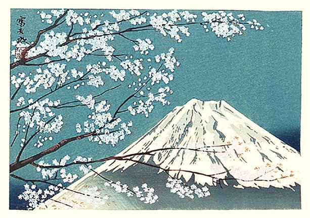 photo44.jpg