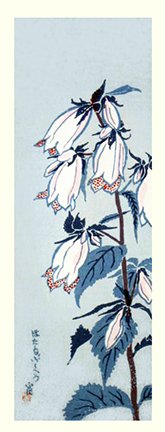 photo48.jpg