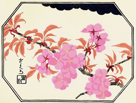 photo63.jpg