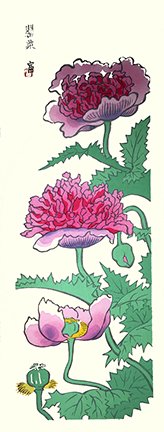 photo69.jpg