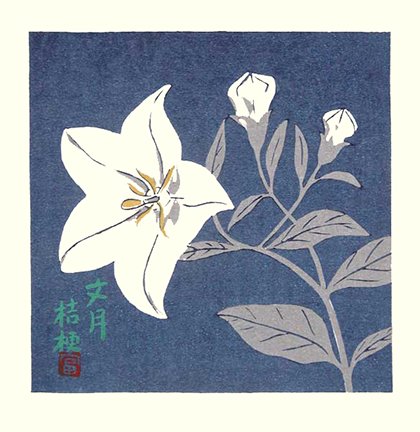 photo9.jpg