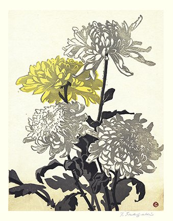 photo4.jpg