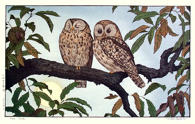 photo27.jpg