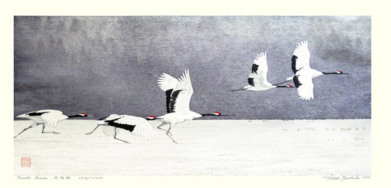 photo29.jpg