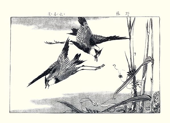 photo14.jpg