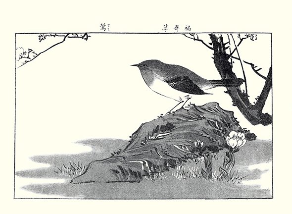 photo3.jpg