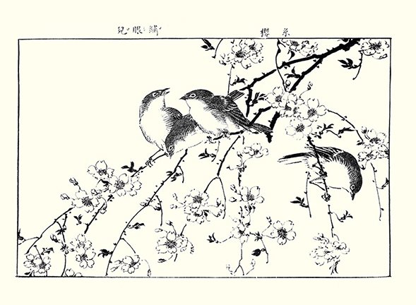 photo4.jpg