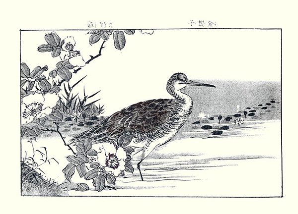 photo7.jpg