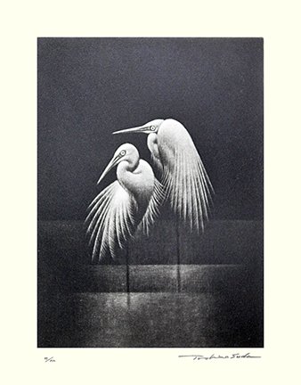 photo19.jpg