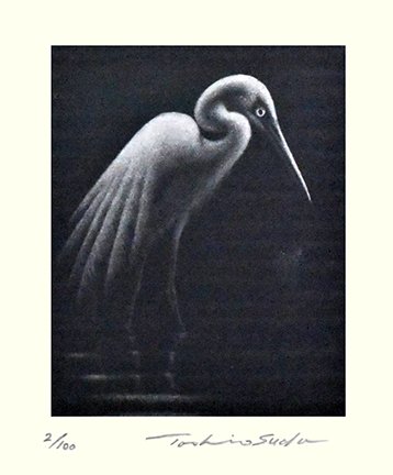 photo26.jpg