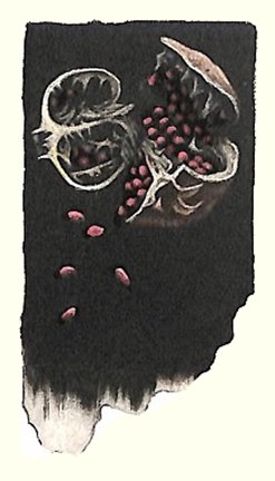 photo6.jpg