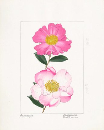 photo10.jpg