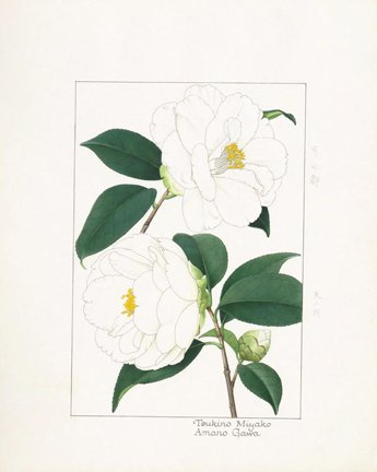 photo16.jpg