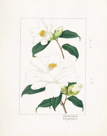 photo17.jpg