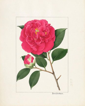 photo36.jpg