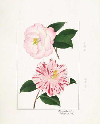 photo39.jpg