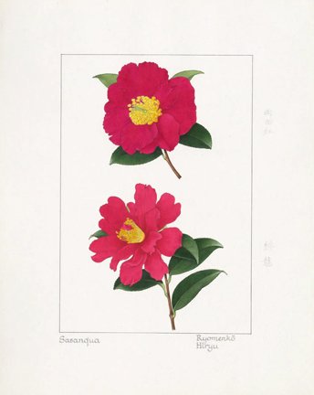 photo4.jpg