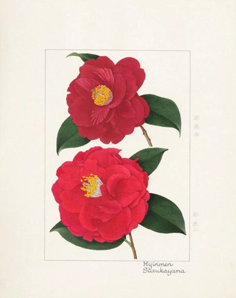 photo45.jpg