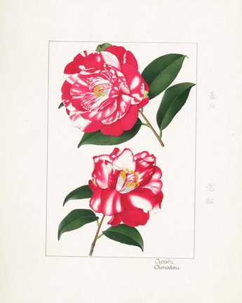 photo48.jpg