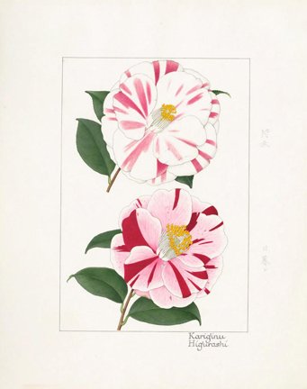 photo51.jpg