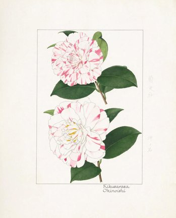 photo53.jpg