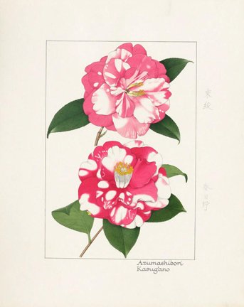 photo55.jpg