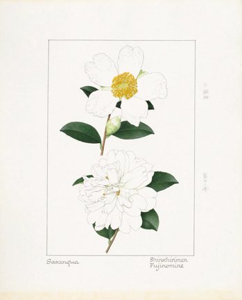 photo58.jpg