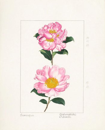 photo7.jpg