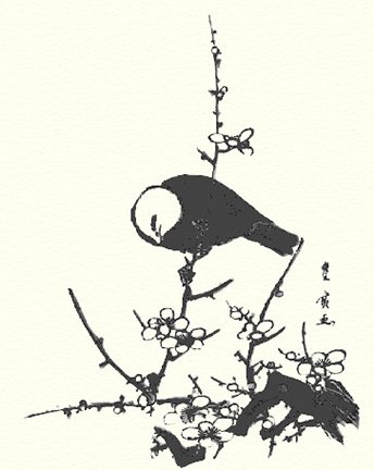 photo18.jpg