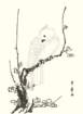 photo_small.jpg