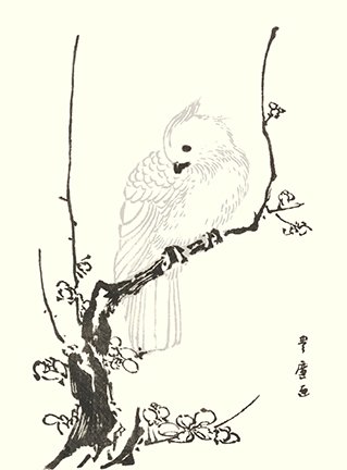 photo.jpg