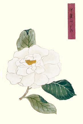 photo14.jpg