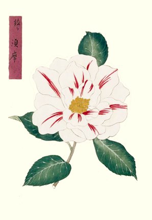 photo19.jpg