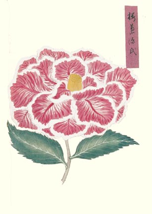 photo34.jpg