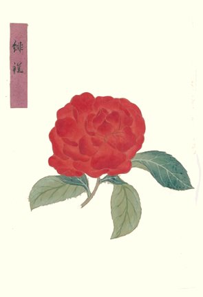 photo35.jpg
