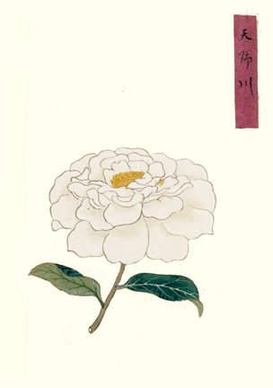 photo42.jpg