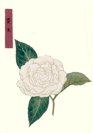 photo45.jpg
