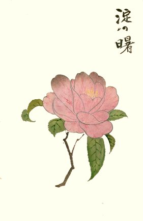 photo12.jpg
