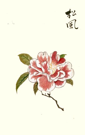 photo16.jpg
