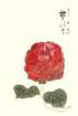 photo10_small.jpg
