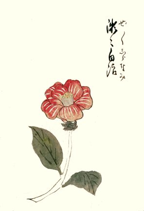 photo11.jpg