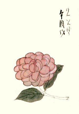 photo14.jpg