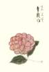 photo14_small.jpg