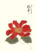 photo20_small.jpg