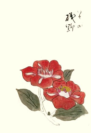 photo22.jpg